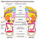 Снятие усталости посредством точечного массажа стоп 